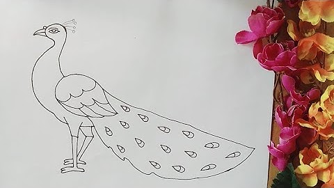 How to draw a Peacock step by step || Part- 1