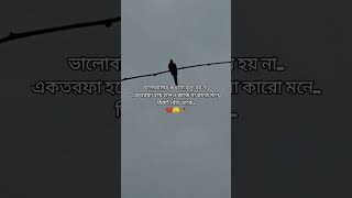 sad love story 🙂🥀💔 #nahida #subscribe #sadstatus #sadlovestory #sadsong #sad #shorts #ytshorts