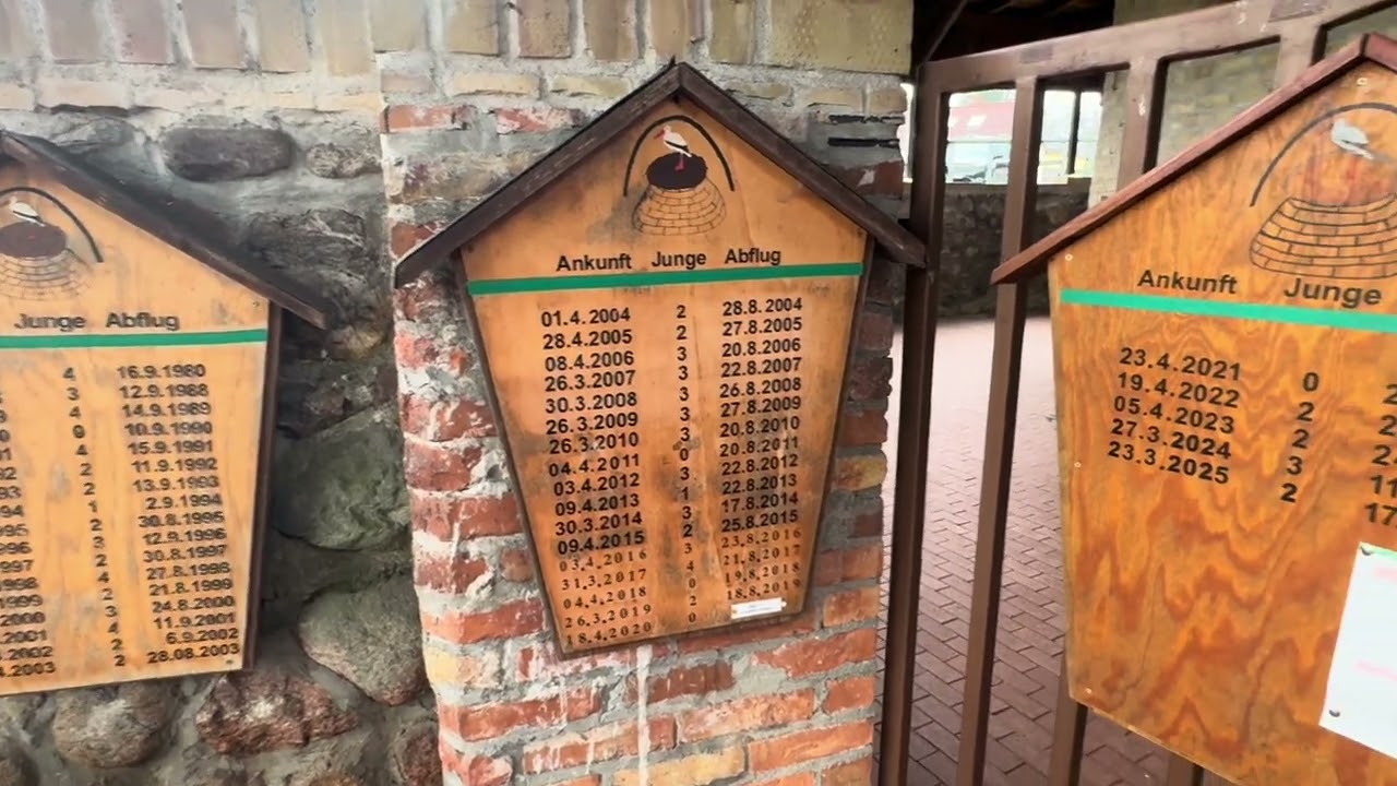 Storchenturm Rathsdorf/Altgaul 2026