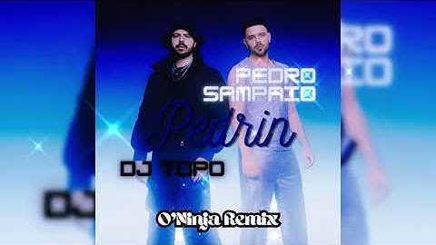 Pedro Sampaio & DJ Topo - Pedrin (O'Ninja Funk Remix) (Com letra/legendas)