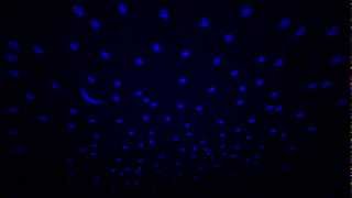 Cloud b Twilight Turtle - Cloud b Video
