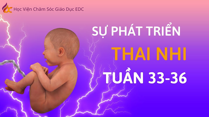 Thai nhi tuần thứ 33 phát triển như thế nào năm 2024