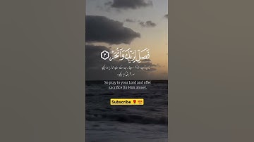 القارئ عبدالرحمن مسعد🎧⏱️||سوره الكوثر🌱💕||قرآن كريم🥺🥰||راحه نفسيه🌿💙|| حالات واتس اب دينيه😍💜|| هدوء🌴🕊