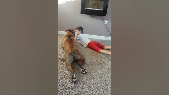 Dog and boy Commando jo practice