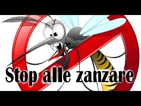 Stop Zanzare! Come ottenere un repellente a costo zero! - YouTube