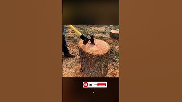 Perfect wood splitting ! Large wood split #shorts