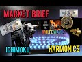 14/01/2024 :MARKET BRIEF 8/ Indices-FOREX -GOLD-GAZ-Pétrole-