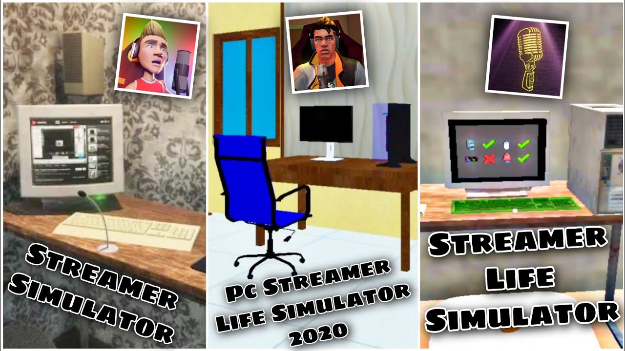 Streamer Life simulator 3D, O Começo