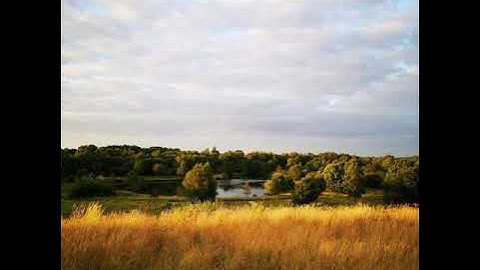 سورة الماعون بصوت الشيخ عبدالله الموسى