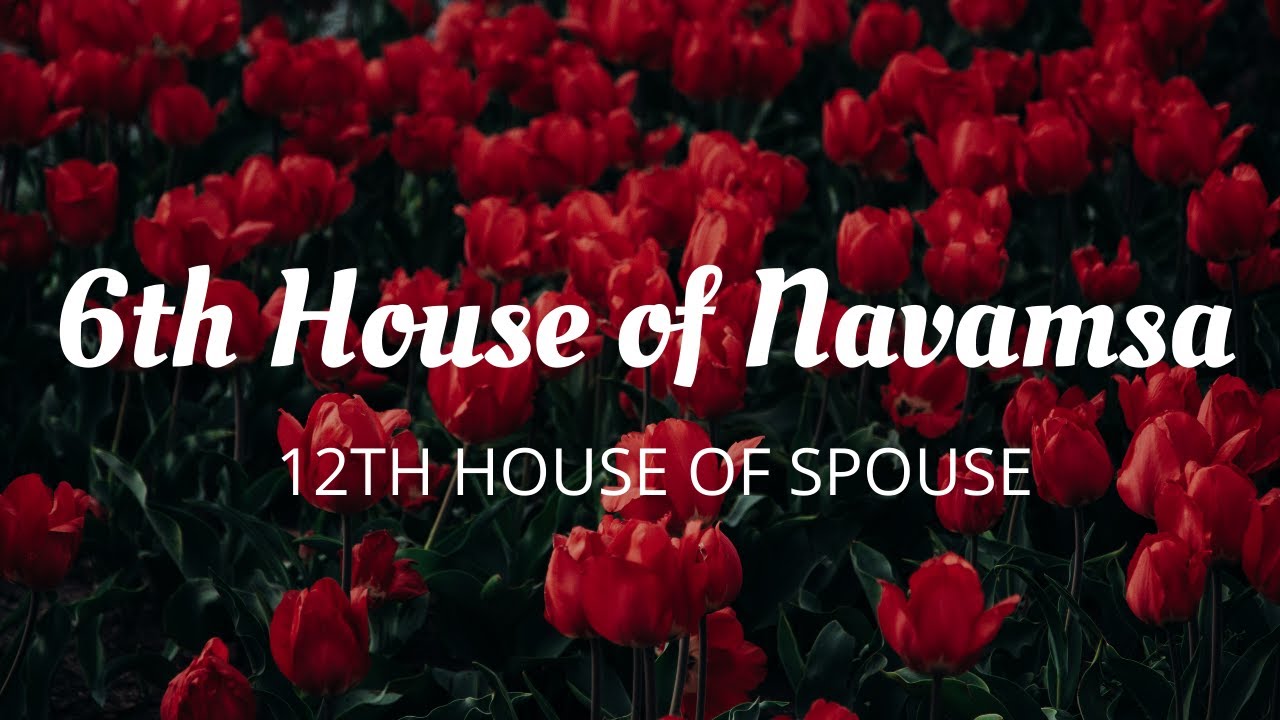 6th House In D 9 Navamsa Chart 12th House Of Spouse And Marriage 