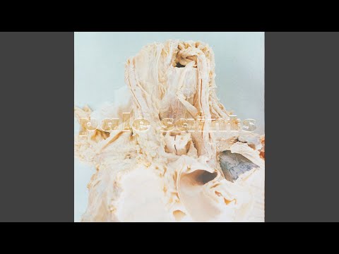 Pale Saints In Ribbons UKオリジナル Pale Saints / In Ribbons UKオリジナル
