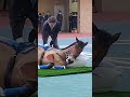 ダメになった馬🐴  #中京競馬場