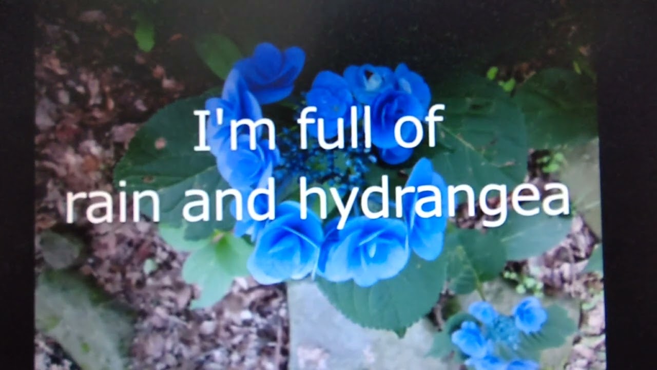 歌ってみた/Rain and Hydrangea auf YouTube ansehen 歌ってみた/Rain and Hydrangea auf YouTube ansehen