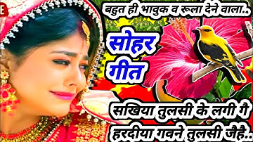 #Video तुलसी सोहर गीत-Tulsi Vivah|केकरे अँगने तुलसी गछिया त सीता जी पूजय हो|कार्तिकमास भजन|एकादशीभजन