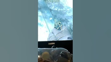 Pipeline bounce old school mwr