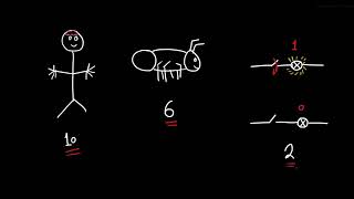 Number Systems and Counting