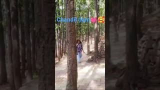 chandil dam video editing 💓🥰#like100k #100kvews #love transition tranding #shortvideo