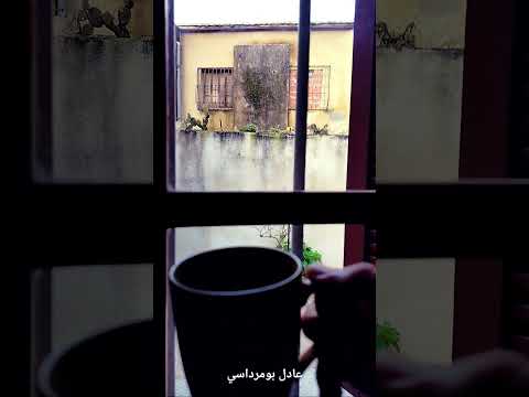 جادك الغيث كتاب سقوط الأندلس ومحاكم التفتيش مع مشروب ساخن مع الليمون