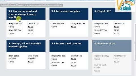 GSTR3B return in Gujarati