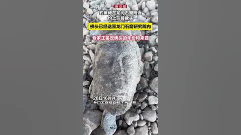 釣魚佬在龍門石窟附近釣上一尊佛頭，佛頭已經送至龍門石窟研究院內，專家正鑒定佛頭的年份和來源 - 天天要聞