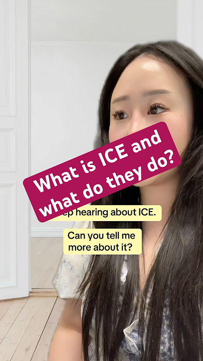 What does ICE do? #ice #data #fyl #usafacts