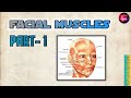 Muscles of face part-1 | Anatomical explanation | Head and neck anatomy | MEDICO