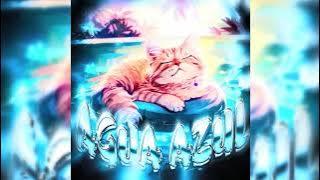 AGUA AZUL (Slowed to perfection) (1 hour) (Perfect loop)