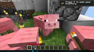 Invincible pig, a floating glass man, and a ruined house ! [HD BABY!]