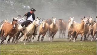 Gritos de Liberdade - Grupo Rodeio