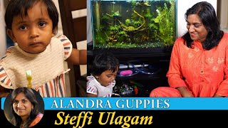 Planted Fish Tank Update Vlog in Tamil | Planted Aquarium in Tamil | Alandra Guppies