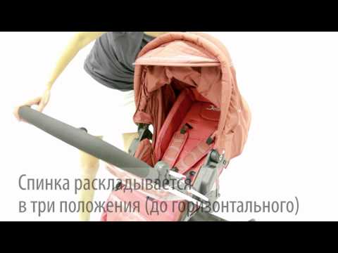 Обзор коляски Jetem Carrera Обзор коляски Jetem Carrera