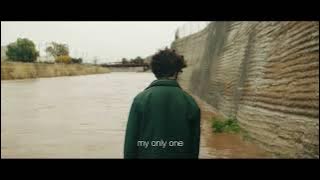 Zach Paradis - 'one' Lyric Visualizer