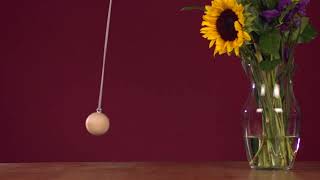 Pendulum Demo