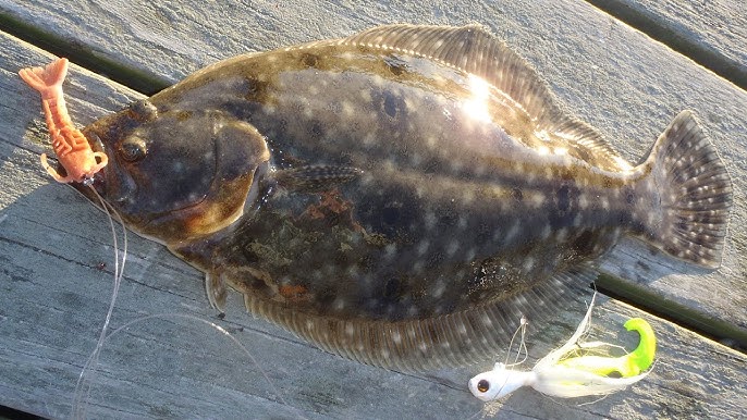 The BEST FLOUNDER RIG (LIVE BAIT) - How to Tie the Best Flounder