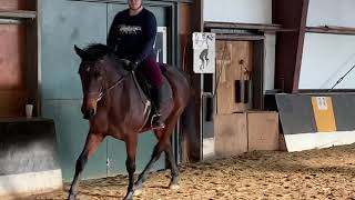Kathryn Mathyssen - PATH Int’l International Candidate Registered Instructor Riding Test