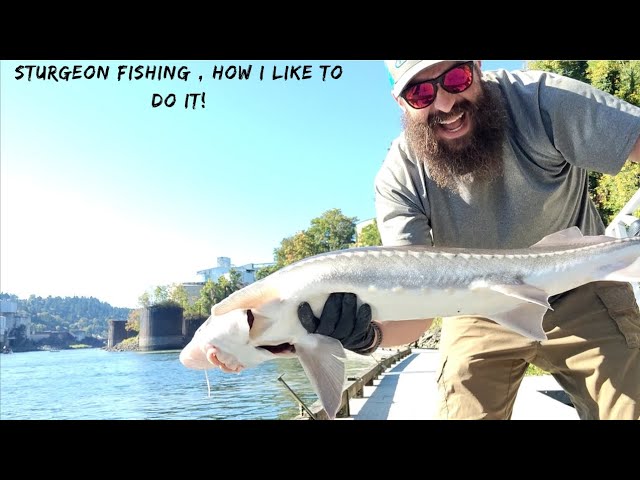 How To Catch Giant Lake Sturgeon From Shore! The Easiest BOTTOM FISHING RIG!  