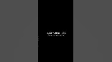 قف دقيقه احترام القران الكريم 🤲♥️ #اكسبلور