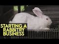 Starting a Rabbitry Business in the Philippines by Tierra del Menor | Agribusiness How It Works