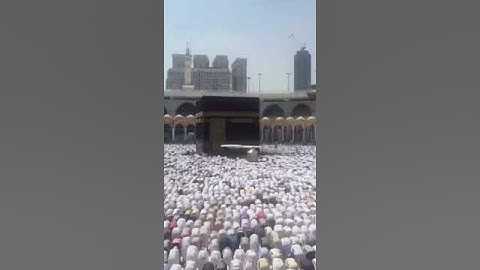 سورة التين بصوت فضيلة الشيخ اسامة خياط حفظه الله.