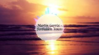 Martin Garrix - Forbidden Voices Resimi