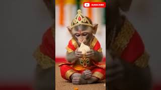 cute  monkey baby eating modak and laughing #cute #monkey #finance #shorts #forkids #explore #fyp