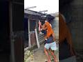 Dance Trending Shorts Viral Viralvideo 2025 Shortsfeed Short Comedy Funny Fyp Ytshorts Dance Trending Shorts Viral Viralvideo 2025 Shortsfeed Short Comedy Funny Fyp Ytshorts
