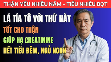 VỀ GIÀ hãy dùng lá TÍA TÔ theo cách này tốt cho thận giúp hạ creatinine, hết tiểu đêm, ngủ ngon