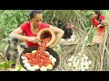 Survival skills: Found wild chicken egg for food - Cooking Chicken egg with Peppers sauce for lunch