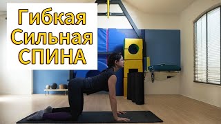 100% крепкая и гибкая спина💥