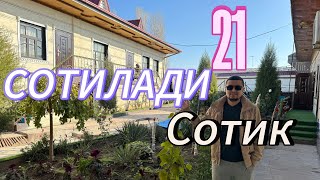 : 21,5- -    .    .