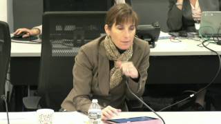 FCPS School Board Work Session - Audit - February 16, 2017