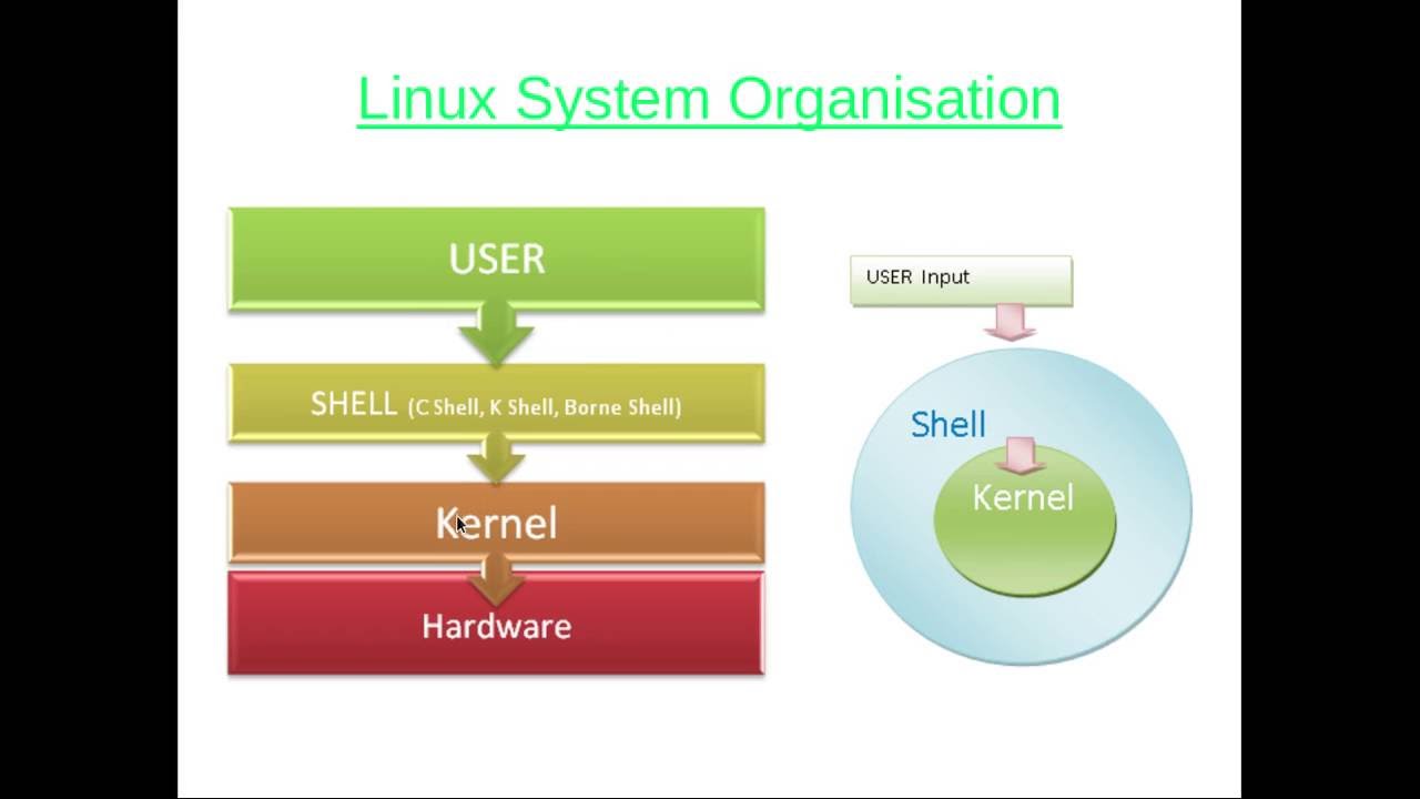 User shell. Система Shell. Оболочки Unix. Оболочки Linux. Linux Shell.