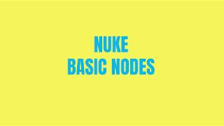 Famous Nuke Basic Nodes Net Worth