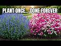 Too Lazy to Garden? 13 Perennials That Do The Work For You